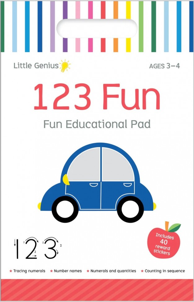 Little Genius Vol 2  Small Activity Pad  123 Fun